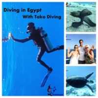 Free download Scuba Diving Hurghada free photo or picture to be edited with GIMP online image editor