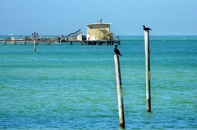 ดาวน์โหลดฟรี Sea Birds Pontoon - ภาพถ่ายหรือรูปภาพฟรีที่จะแก้ไขด้วยโปรแกรมแก้ไขรูปภาพออนไลน์ GIMP