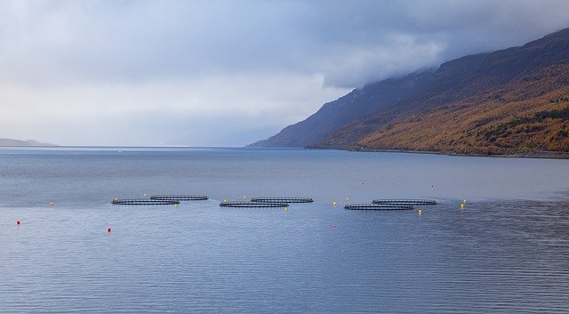 Free download sea fish farming bag breeding fjord free picture to be edited with GIMP free online image editor