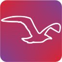 Seagull Add Reviews and Gameplay to Steam  screen for extension Chrome web store in OffiDocs Chromium