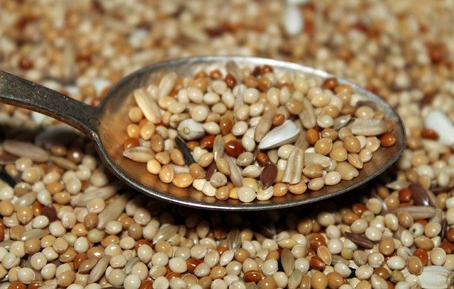 Бесплатная загрузка Seeds Grains Spoon - бесплатное фото или изображение для редактирования с помощью онлайн-редактора изображений GIMP