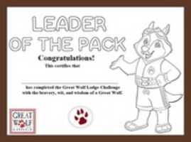 Free download Semi Fanmade GWL Great Wolf Lodge Challenge Certificate free photo or picture to be edited with GIMP online image editor