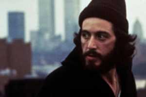 Free download serpico_web500 free photo or picture to be edited with GIMP online image editor