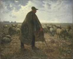 Free download Shepherd Tending His Flock free photo or picture to be edited with GIMP online image editor