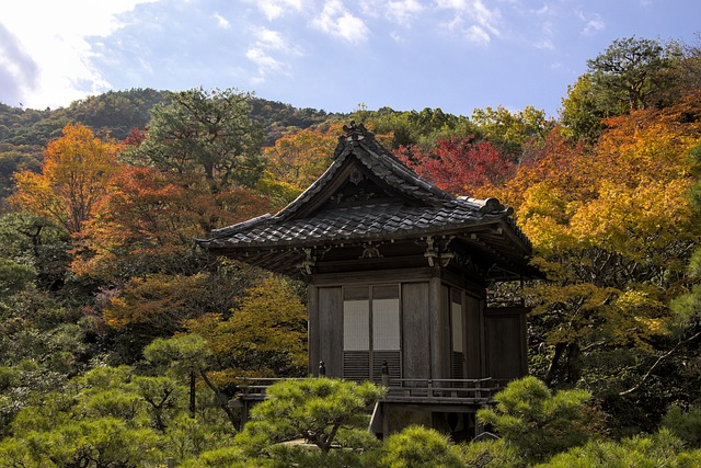 Free download shrine fall autumn leaves japan free picture to be edited with GIMP free online image editor