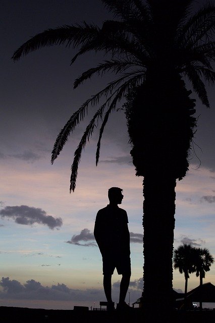 Descarga gratuita Silhouette Palm Tree Teenage - foto o imagen gratuita para editar con el editor de imágenes en línea GIMP