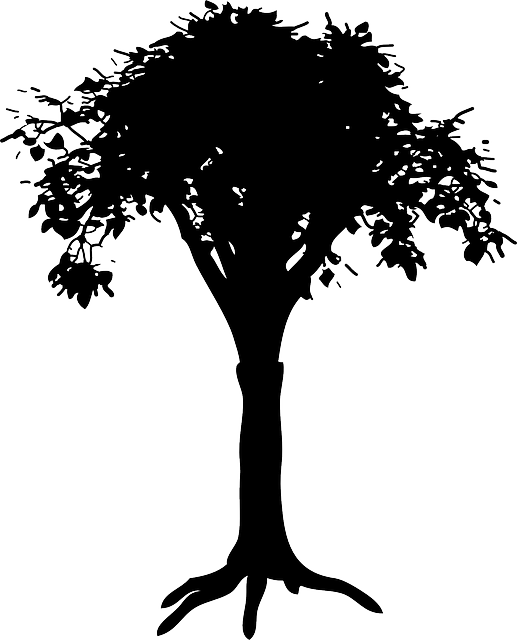 Free download Silhouette Tree - Free vector graphic on Pixabay free illustration to be edited with GIMP free online image editor