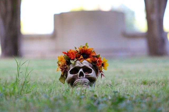 Free download skull skulls and flowers and grass free picture to be edited with GIMP free online image editor