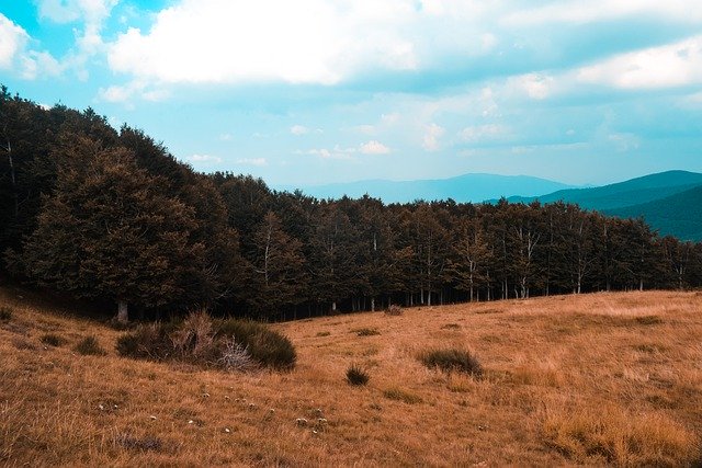 Free download sky trees mood orange blue travel free picture to be edited with GIMP free online image editor