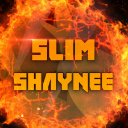 slimshaynee webs  screen for extension Chrome web store in OffiDocs Chromium