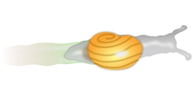 Free download Snail Shell Trail - Free vector graphic on Pixabay free illustration to be edited with GIMP free online image editor