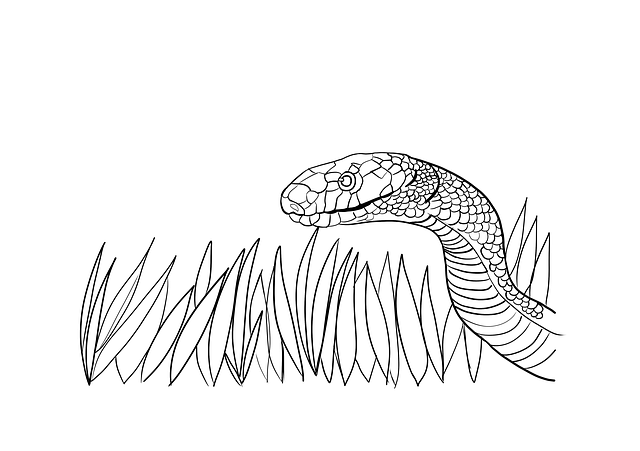 Download gratuito Snake Serpent Drawing - illustrazione gratuita da modificare con l'editor di immagini online gratuito di GIMP