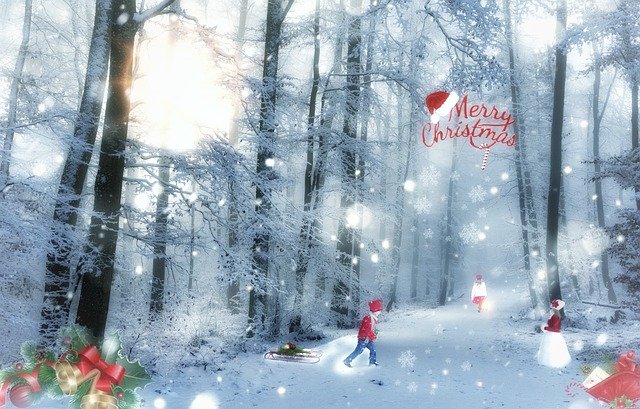 Free download snow forest christmas cards cold free picture to be edited with GIMP free online image editor