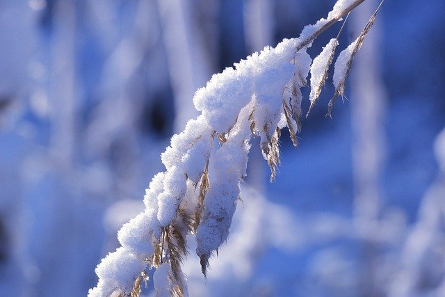 Téléchargement gratuit neige hiver herbe gel glace image gratuite à éditer avec l'éditeur d'images en ligne gratuit GIMP