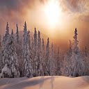 Snowy Forest Sunset HD Theme  screen for extension Chrome web store in OffiDocs Chromium