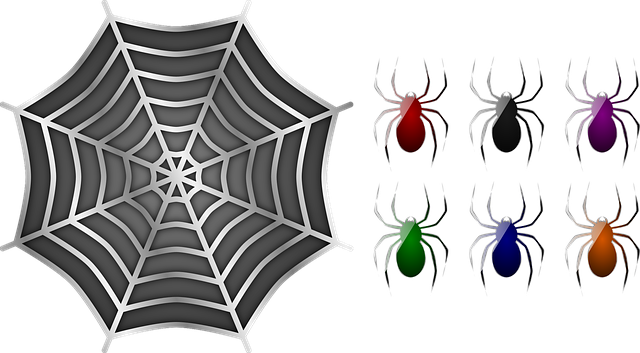 Free download Spiders Spider Web -  free illustration to be edited with GIMP free online image editor