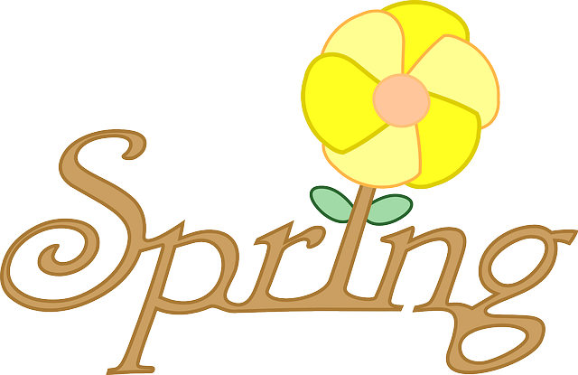 Free download Spring Flower - Free vector graphic on Pixabay free illustration to be edited with GIMP free online image editor