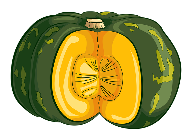 Free download Squash Fruit Vegetable -  free illustration to be edited with GIMP free online image editor