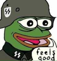 Free download SS Waffen Pepe free photo or picture to be edited with GIMP online image editor
