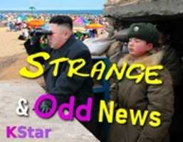 Free download Strange Odd News free photo or picture to be edited with GIMP online image editor