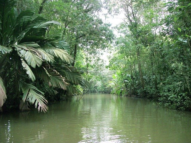 ດາວ​ໂຫຼດ​ຟຣີ Stream River Nature - ຮູບ​ພາບ​ຟຣີ​ຫຼື​ຮູບ​ພາບ​ທີ່​ຈະ​ໄດ້​ຮັບ​ການ​ແກ້​ໄຂ​ກັບ GIMP ອອນ​ໄລ​ນ​໌​ບັນ​ນາ​ທິ​ການ​ຮູບ​ພາບ​