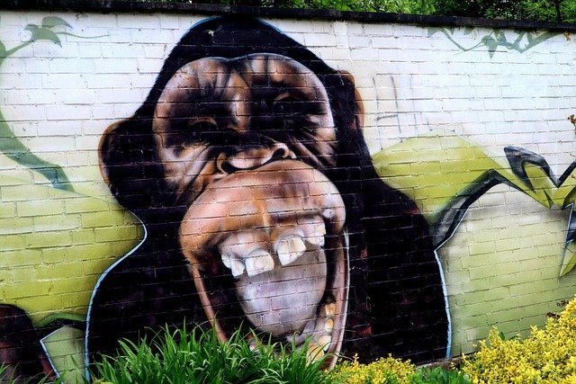 Free download street art ape wall art to paint free picture to be edited with GIMP free online image editor