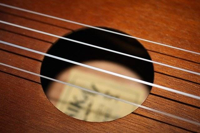 無料ダウンロードStringsUkuleleInstrument無料の写真テンプレートをGIMPオンライン画像エディターで編集