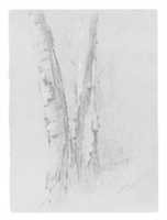 Free download Study of Birch Trunks (Scribners) free photo or picture to be edited with GIMP online image editor