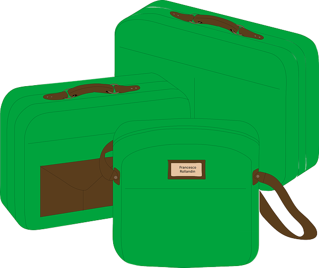 Free download Suitcases Bags Green - Free vector graphic on Pixabay free illustration to be edited with GIMP free online image editor