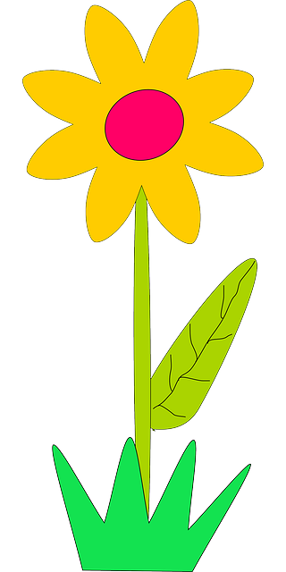 Free download Sun Flower Sunflower - Free vector graphic on Pixabay free illustration to be edited with GIMP free online image editor