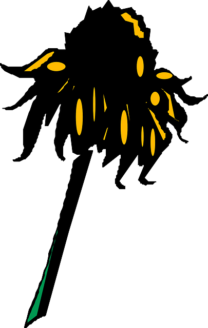 Free download Sunflower Wilted Petal - Free vector graphic on Pixabay free illustration to be edited with GIMP free online image editor