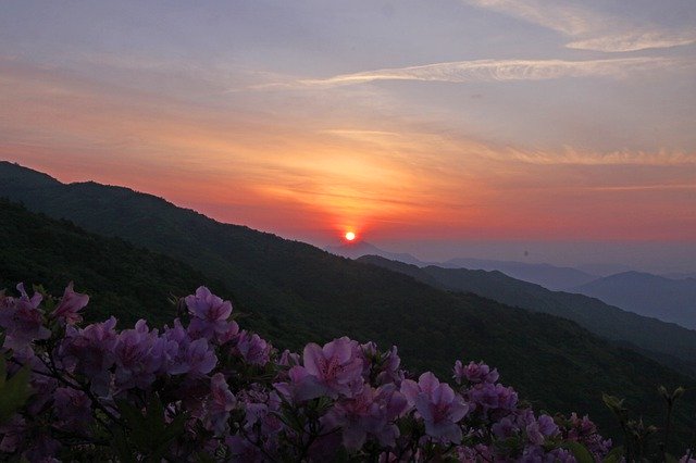 ดาวน์โหลดฟรี Sunrise Flowers Sky - ภาพถ่ายหรือภาพฟรีที่จะแก้ไขด้วยโปรแกรมแก้ไขรูปภาพออนไลน์ GIMP