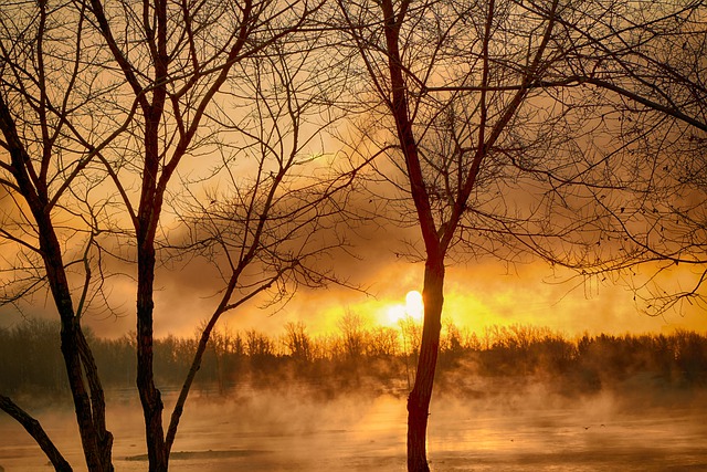 Téléchargement gratuit d'une image gratuite d'arbres du matin de brouillard de rivière de lever de soleil à modifier avec l'éditeur d'images en ligne gratuit GIMP