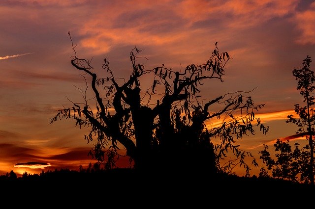 Téléchargement gratuit de Sunrise Sky Mood - photo ou image gratuite à modifier avec l'éditeur d'images en ligne GIMP