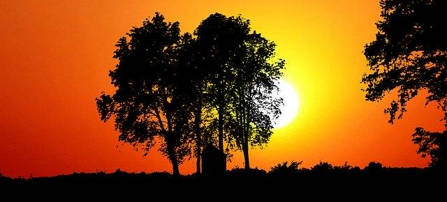 تنزيل Sunset Nature Trees مجانًا - رسم توضيحي مجاني ليتم تحريره باستخدام محرر الصور عبر الإنترنت GIMP