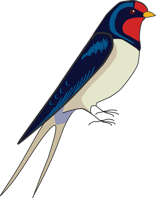 Free download Swallow Bird Spring - Free vector graphic on Pixabay free illustration to be edited with GIMP free online image editor