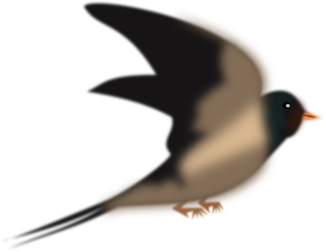 Free download Swallow Martin Pigeon - Free vector graphic on Pixabay free illustration to be edited with GIMP free online image editor