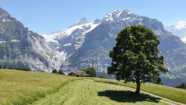 免费下载 Swiss Switzerland First - 可使用 GIMP 在线图像编辑器编辑的免费照片或图片