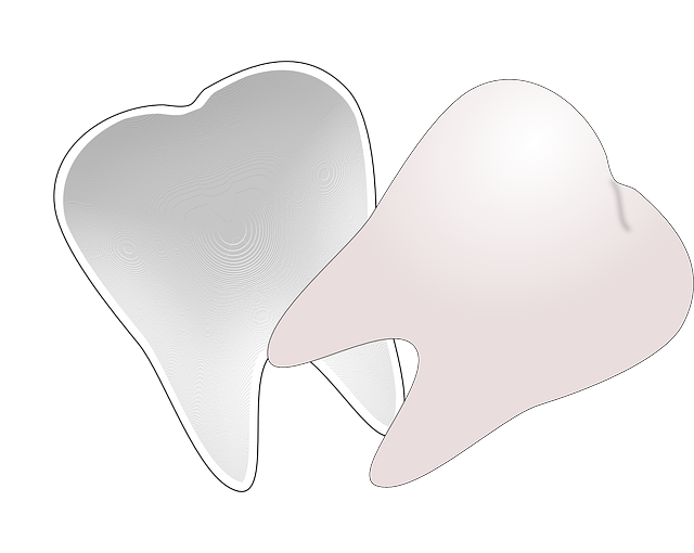 Free download Teeth Tooth Dentistry - Free vector graphic on Pixabay free illustration to be edited with GIMP free online image editor