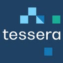 Tessera Data Browser Extension  screen for extension Chrome web store in OffiDocs Chromium