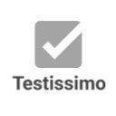 Testissimo  screen for extension Chrome web store in OffiDocs Chromium