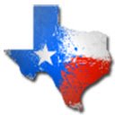 Texas Drivers Ed  screen for extension Chrome web store in OffiDocs Chromium