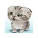 The Daily Kitten  screen for extension Chrome web store in OffiDocs Chromium