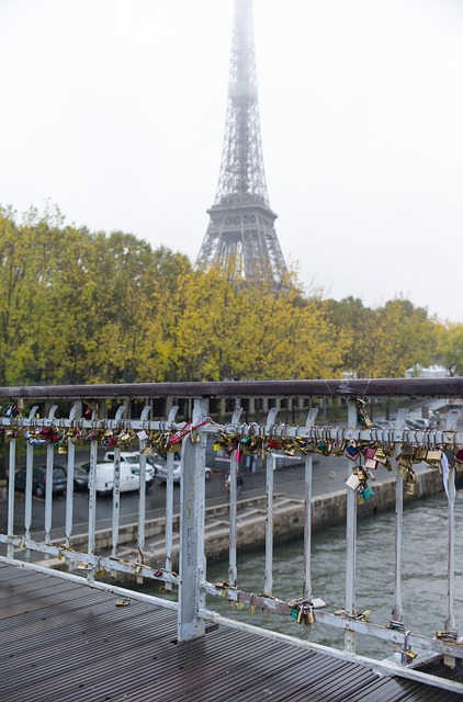 Free download the eiffel tower paris france free picture to be edited with GIMP free online image editor