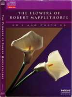 Free download The Flowers of Robert Mapplethorpe - Philips CDi [Scans] free photo or picture to be edited with GIMP online image editor