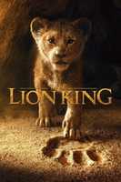 Free download The Lion King 2 free photo or picture to be edited with GIMP online image editor