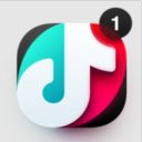 TikTok Mobile App  screen for extension Chrome web store in OffiDocs Chromium