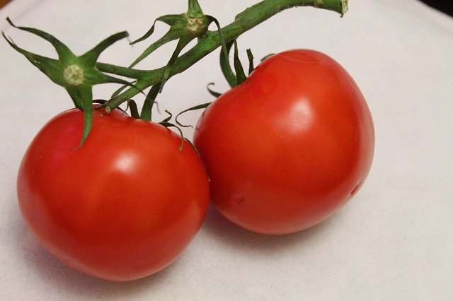 Gratis afbeelding Tomaten Tomaat Rood - te bewerken door GIMP gratis afbeeldingseditor door OffiDocs