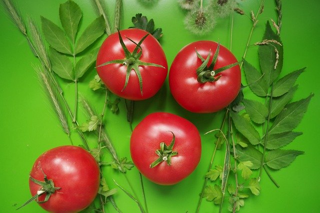 Muat turun percuma Tomato Fresh Red - foto atau gambar percuma percuma untuk diedit dengan editor imej dalam talian GIMP