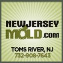 Toms River Mold Remediation  screen for extension Chrome web store in OffiDocs Chromium